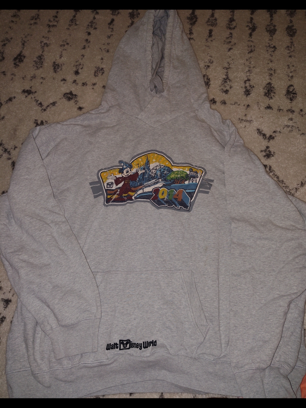 Disney Light Gray Hoodie with Colorful Park Graphic